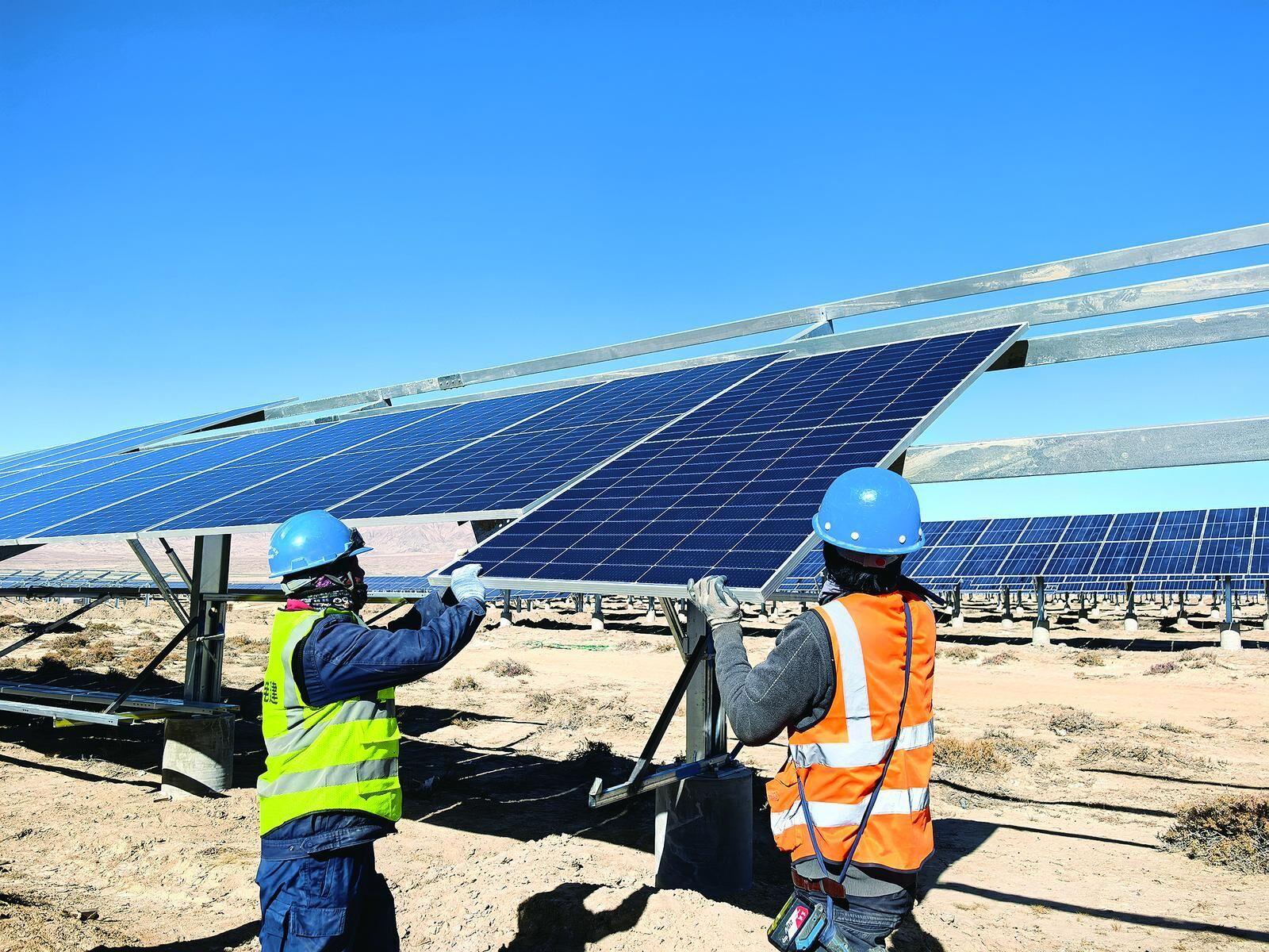 1732515182697083887.jpg 1732516171005.jpg